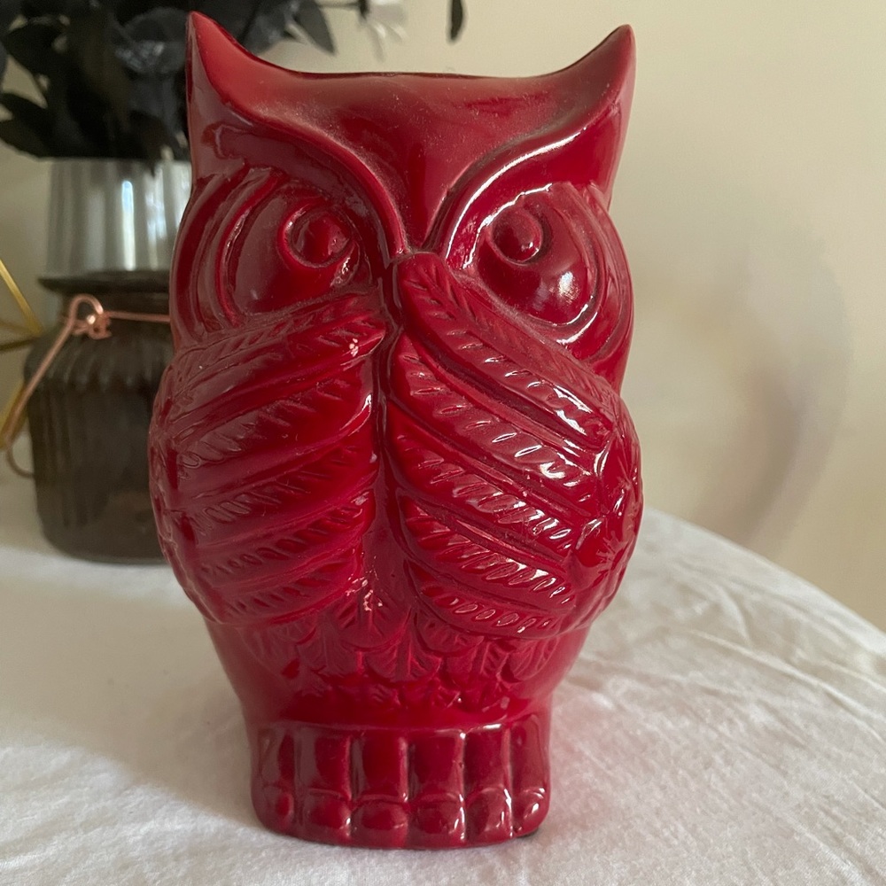 ✨♥️✨ Owl Decor ✨♥️✨